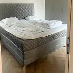 Unique Directly On The * 미델파르트